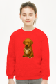 bluza dziecęca z psem