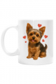 Yorkshire Terrier, York