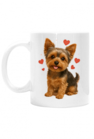 Yorkshire Terrier, York