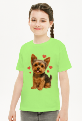 Yorkshire Terrier, York