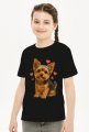 Yorkshire Terrier, York