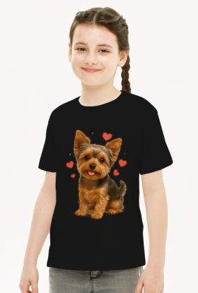 Yorkshire Terrier, York