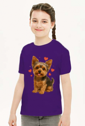Yorkshire Terrier, York