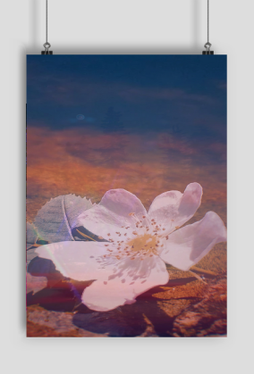 Plakat A1