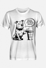 Koszulka kawa, pies, pitbull, amstaff