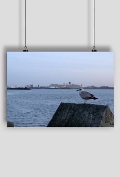 Velsen-Noord2