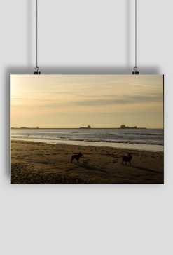 Velsen-Noord