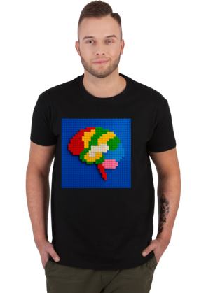 BRAIN BRICK