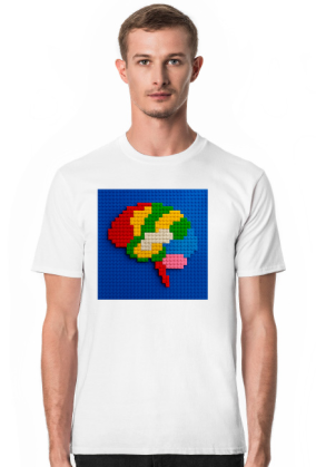 BRAIN BRICK