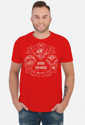 Drób chaosu