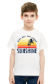 Sunshine