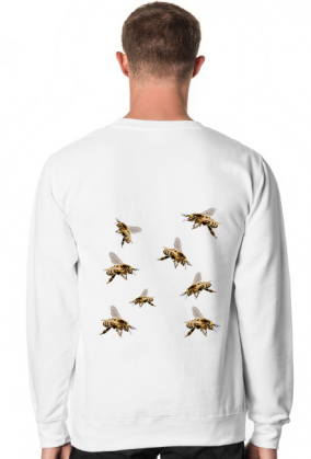 Nie jem miodu żuje pszczoły - bluza męska