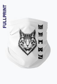 Koci Klan – Strażnicy Żywiołów