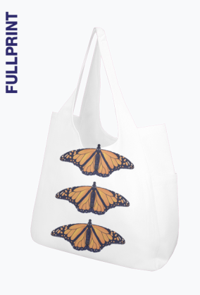 Motyle