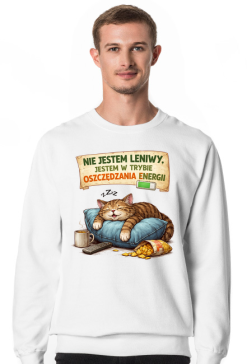 Nie jestem leniwy