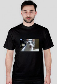 Kot