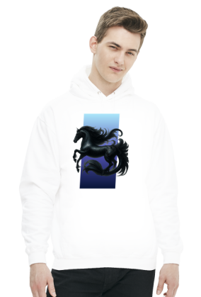 Hippokamp