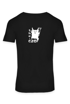 Magiczny kot