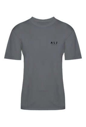 Core Logo T-Shirt — Gray