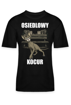 Osiedlowy Kocur