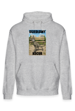 Osiedlowy Kocur