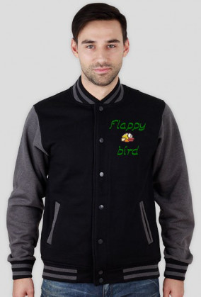 Bluza męska z flappy bird