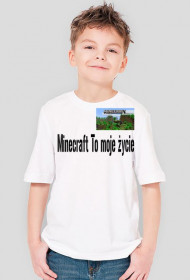 Koszulka dziecięca - Minecraft