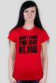 Don't turn the cat by tail, Nie odwracaj kota ogonem