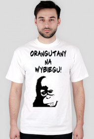 Orangutany na wybiegu