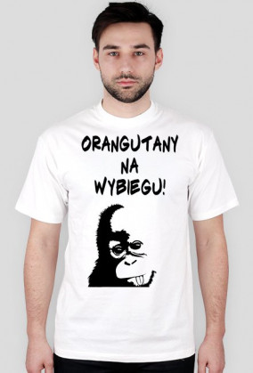 Orangutany na wybiegu