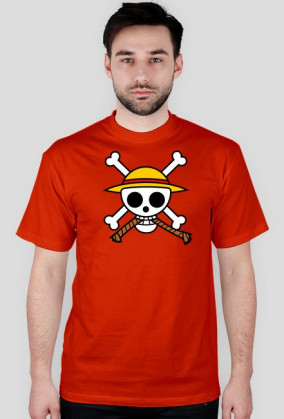 One Piece Logo + napis