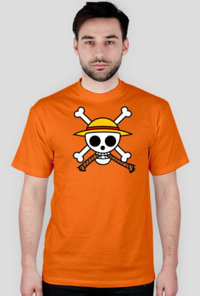 One Piece Logo + napis