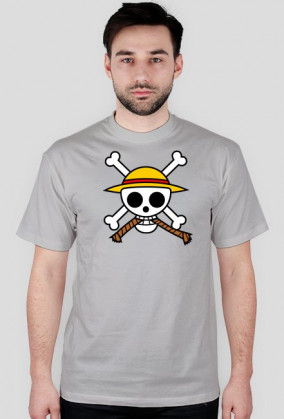 One Piece Logo + napis