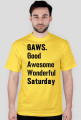 "GAWS"