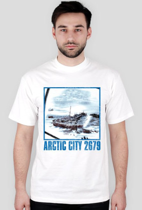 Arctic City