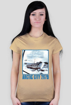 Arctic City