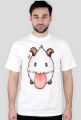 Poro