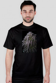 Koszulka Ganja