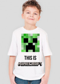 This is... MINECRAFT!!!