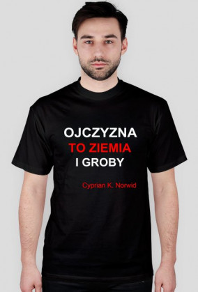 Ojczyzna.... Cyprian Kamil Norwid