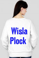 Wisła Płock, bluza