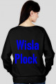 Wisła Płock, bluza