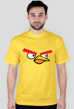Yellow Angry Bird