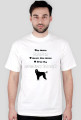 Afghan hound 001
