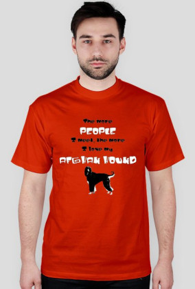 Afghan hound 001