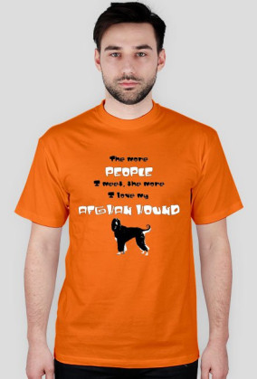 Afghan hound 001