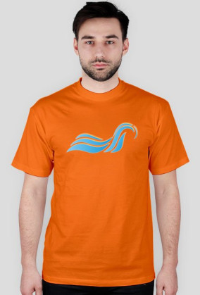 Logo Windshape