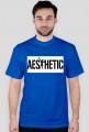 Koszulka męska Aesthetic Zyzz Gym Wear