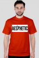 Koszulka męska Aesthetic Zyzz Gym Wear