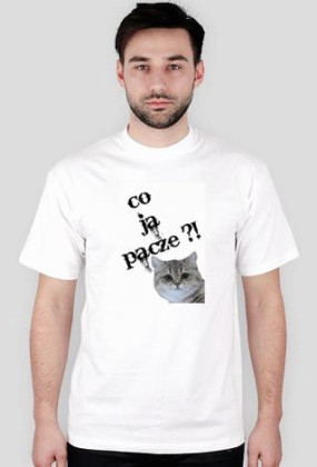 CO JA PACZE ?! KOT, HIT INTERNETU!